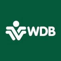 WDB Investment Holdings
